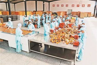 重慶日報鄉(xiāng)村振興周刊 重慶農(nóng)產(chǎn)品加工業(yè)如何走上 快車道