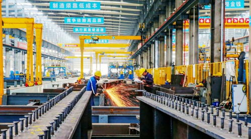 重慶這個國家級 試驗(yàn)田 ,哪些領(lǐng)域機(jī)會大